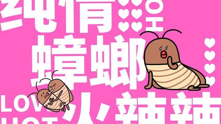 203集|这是螂的诱惑~