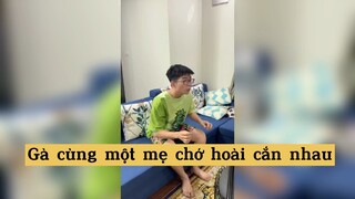 Gà cùng một mẹ chớ hoài cắn nhau