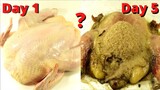 How Quickly The Maggots Eat The Chicken? Time Lapse.