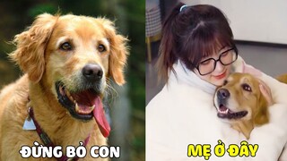 Duomi | Dù Có Khó Khăn Đến Mấy, Con Vẫn Sẽ Ở Bên Chăm Sóc Mẹ 🥰 Gâu Đần Official