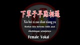 Xia bei zi zao dian xiang yu -下輩子早點相遇 -  Vokal - Female - Terjemahan - Pinyin - Lyrics - Lirik