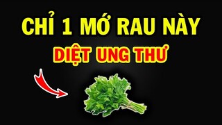 Nấu ăn nhớ ĐỪNG VỨT 3 thứ này! Không những là VỊ THUỐC mà còn phòng chống UNG THƯ cực hiệu quả