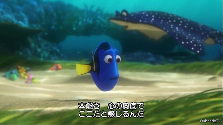 finding dory video clip