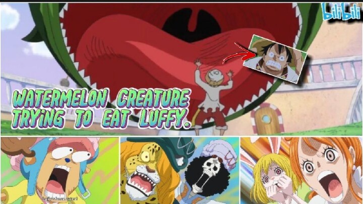 WATERMELON CREATURE TRYING TO EAT LUFFY.
