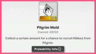 Pilgrim Mold 49/50 .EXE [NIKKE]