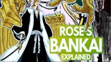 Rōjūrō Ōtoribashi Bankai Explained ( Tagalog )