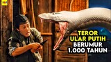 Teror Siluman Ular Putih Berumur 1000 Tahun - ALUR CERITA FILM The Sorcerer and the White Snake