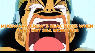 ONE PIECE| EP 55