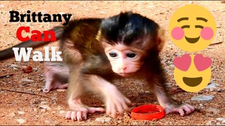 WOW!,ADORABLE CUTE BABY BRITTANY DO WONDERFUL TO WALK THE FIRST TIME, MONKEY BRINN RELEASE BABY SHOW