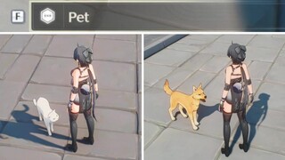 YOU CAN PET THE CATS AND DOGS IN WUTHERING WAVES 😭