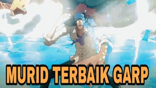 DUEL DENGAN GURU TERBAIK - ANIME REVIEW (ONE PIECE)