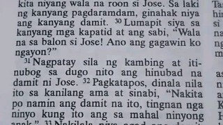 Pang Araw Araw na Talata Genesis 37:31-33