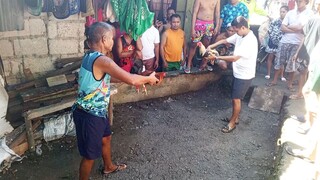 Jan 1 2025 pula vs talisayin