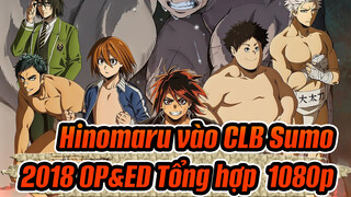 [Hinomaru vào CLB Sumo] 2018 OP&ED Tổng hợp, 1080p