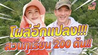 คริต-อิน-สวน ep.3 โผล่อีกแปลง!!!สวนทุเรียน 200 ต้น