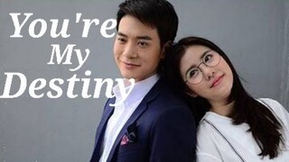 You're My Destiny Ep 11 Tagalog Dub