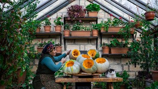 Pumpkin Day in Our Village - The BEST Pumpkin Recipes