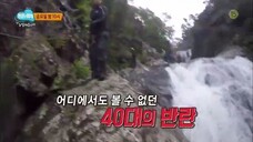 Law of the Jungle in New Caledonia [5] ENG SUB