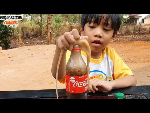 PERCOBAAN COCA COLA CAMPUR MENTOS