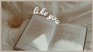 like you [ aesthetic lyrics ]