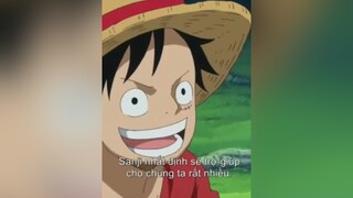 Zoro cứ như là con nít z luffy zoro nami onepiece xuhuong