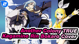 Another Colony TRUE | Kagamine Rin / Bokaro Cover_2