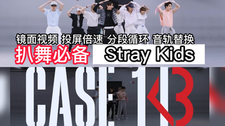 【扒舞必备】(带拍子)Stray Kids 新曲 《CASE 143》镜面放大 分段循环 投屏倍速 音轨替换