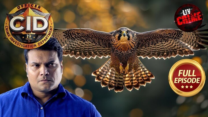 The Case Of A Maneater Falcon - CID - सी.आई.डी. - Latest Episode 2025