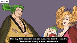 Nguồn Gốc Xuất Thân Của Zoro_ - Mối Liên Hệ Với Monkey D. Dragon I 7