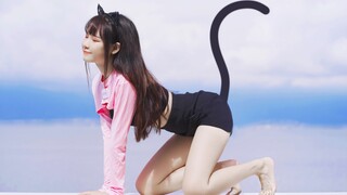 A cute girl in high heel dancing with "Like a Cat"