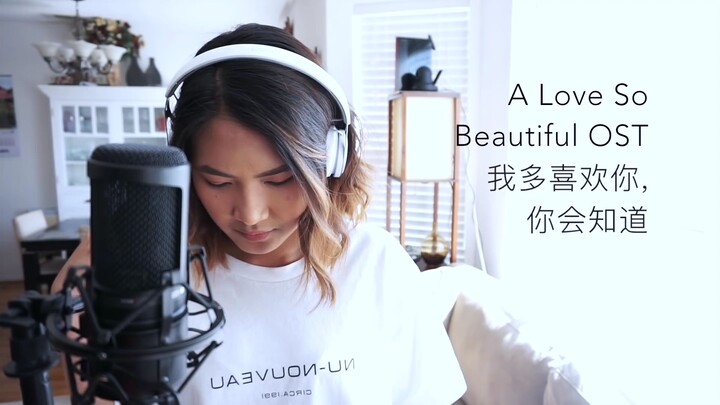 I love you So Much, you 'll Know it A love so beautiful Ost-wang Junqi [English cover]