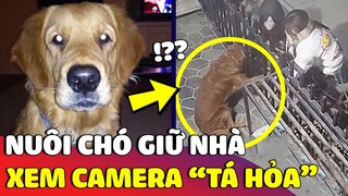 Nuôi chó để giữ nhà, con Sen check camera thì 'TÁ HỎA' vì thấy cảnh nó lạ lắm 😅 | Gâu Đần