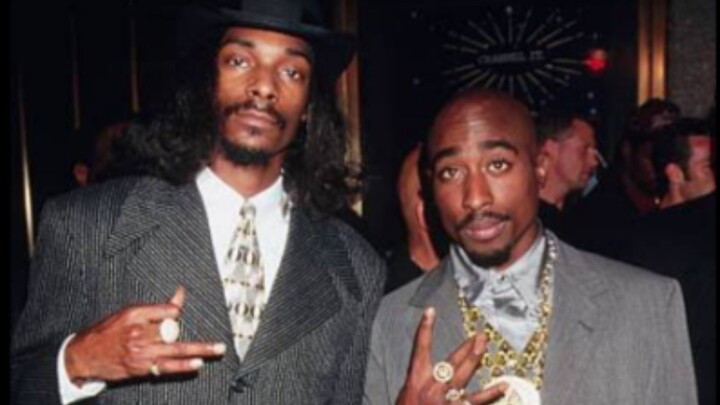 GANGSTA PARTY 2PAC SNOOP DOG LIVE