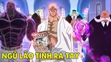 ALL IN ONE l Full One Piece tập 1070  || Sức Mạnh Ngũ Lão Tinh, Đẳng Cấp Sức Mạnh Của Trùm Cuối !