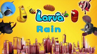 LARVA ẤU TRÙNG TINH NGHỊCH - MƯA