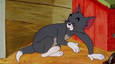 Tom & Jerry Collection S04E20 That's My Mommy