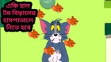 Tom and Jerry Bangla Cartoon | New Bangla cartoon | Tom and Jerry New Episode | Tom And jerry Tv