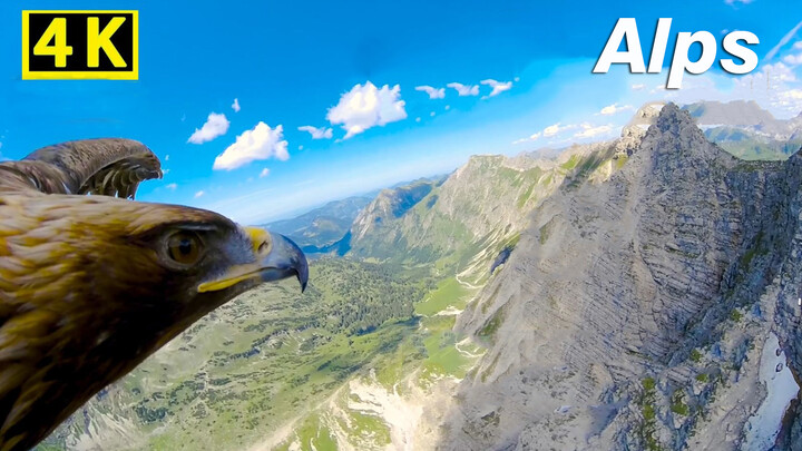 【4K】Eagle View of the Alps