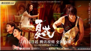 🇨🇳THE FORBIDDEN FLOWER EP 19(engsub)2023