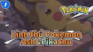 Linh thú Pokemon|Lần đầu như lần cuối Ash bắt Pikachu vào quả cầu Poké_1