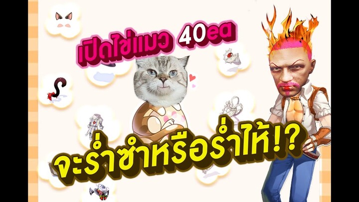 เปิดกาชาไข่แมว 40ฟอง จะร่ำซำหรือร่ำไห้ !?