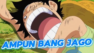 Pertarungan luffy pas jaman2 mini