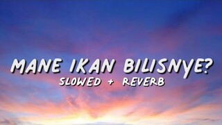 Nasi Lemak KFC Slowed + Reverb (Lyrics)