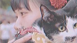 Pet|Kitty images from the Showa era