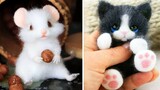 AWW SO CUTE! Cutest baby animals Videos Compilation Cute moment of the Animals - Cutest Animals #39