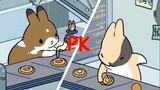 bunnies´ BATTLE on cooking😃