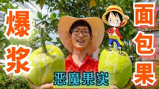 国外面包果真的存在吗？恶魔果实原型！超能力源泉~【斐济美食】