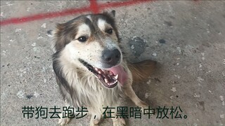 带狗去跑步，在黑暗中放松。