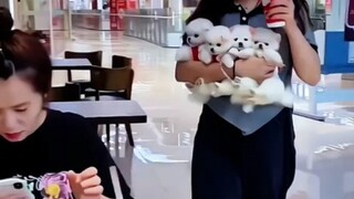 Do you want a bunny to come to your house?