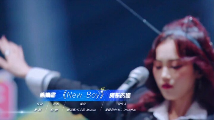 【陈婧霏】New Boy -陈婧霏 房东的猫 （谁是宝藏歌手Live 现场版)